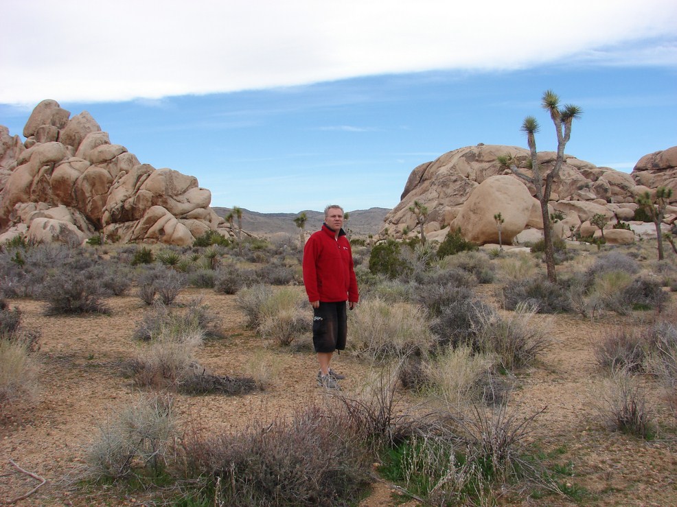 joshua tree (10) (Copier).JPG